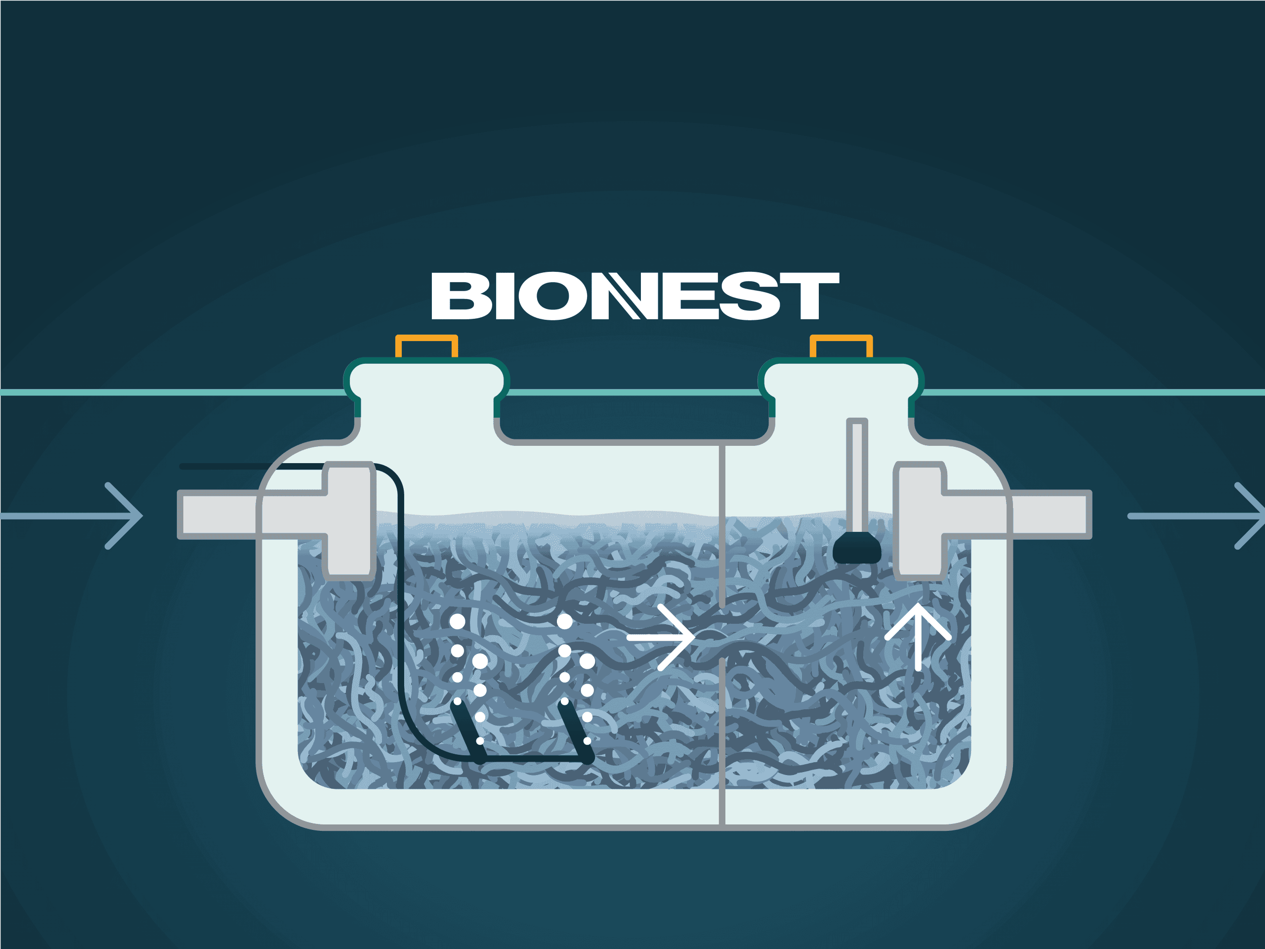 Bionest